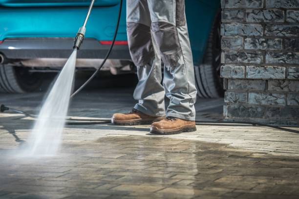 Best Pre-Holiday Cleaning  in Bellevue, OH